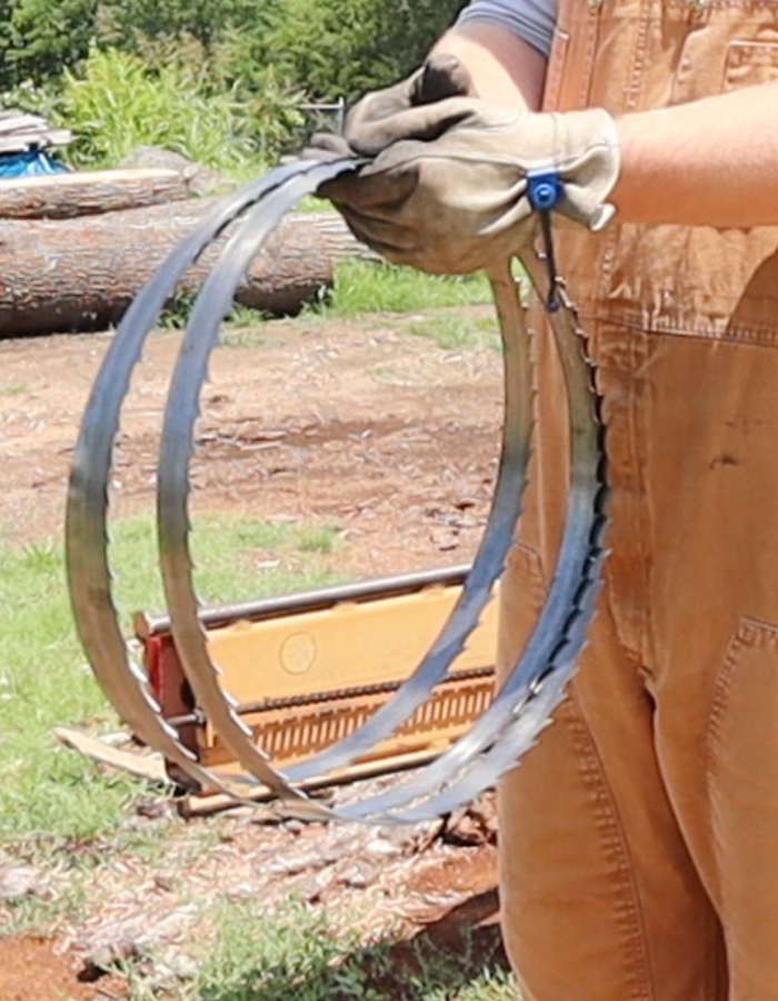 Holding a bandsaw sawmill blade after folding it safely.
