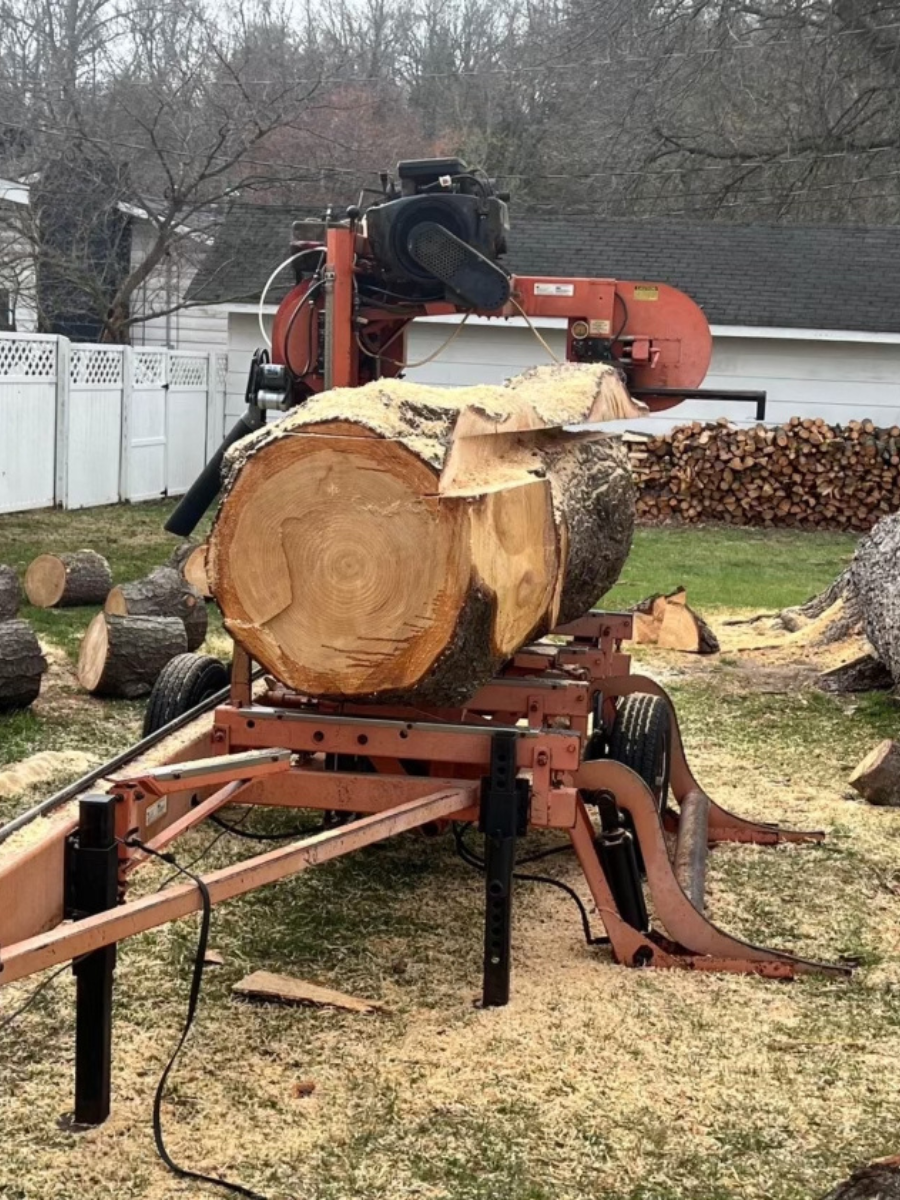 Sawmill cutting log