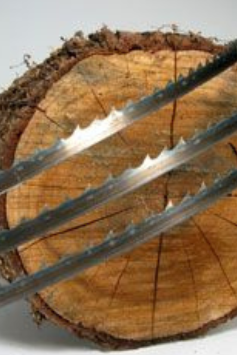 Band sawmill blades resting on a log cleaned and ready to saw