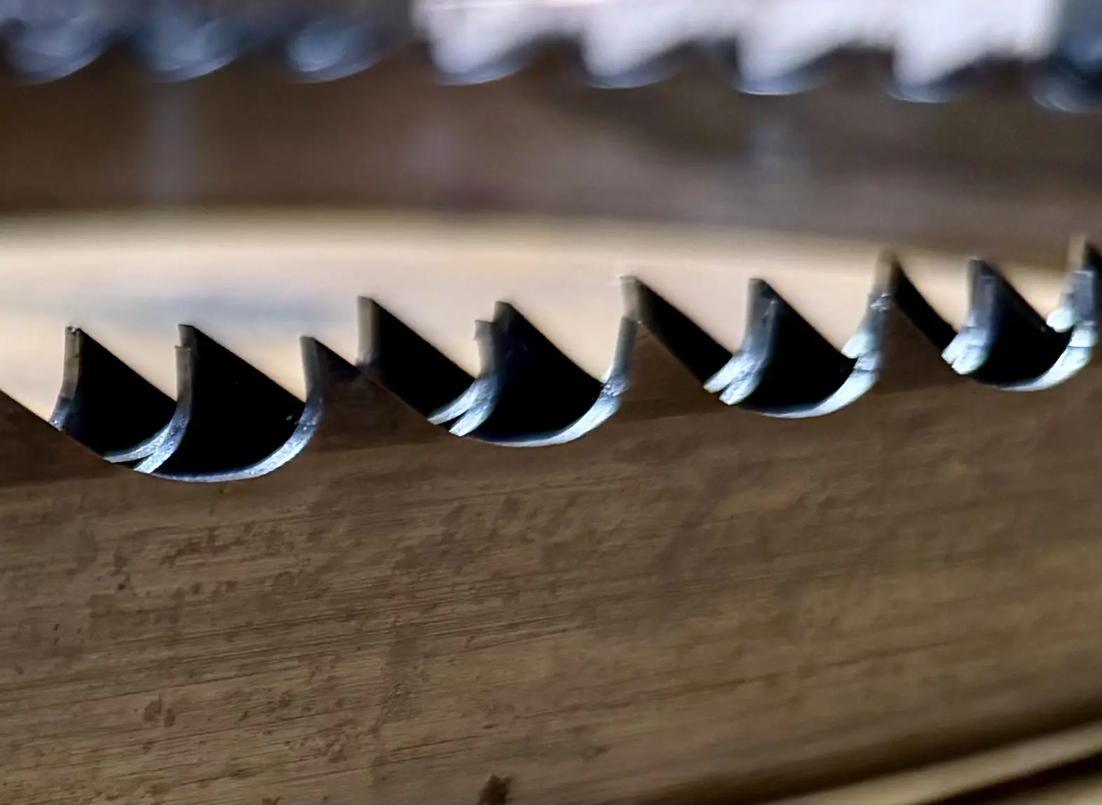 Close up of blade teeth ready for sawmill blade sharpening and setting.