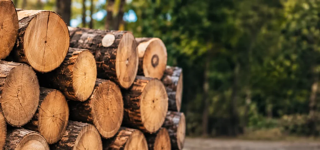 Stacked logs ready for milling into better quality lumber from your sawmill